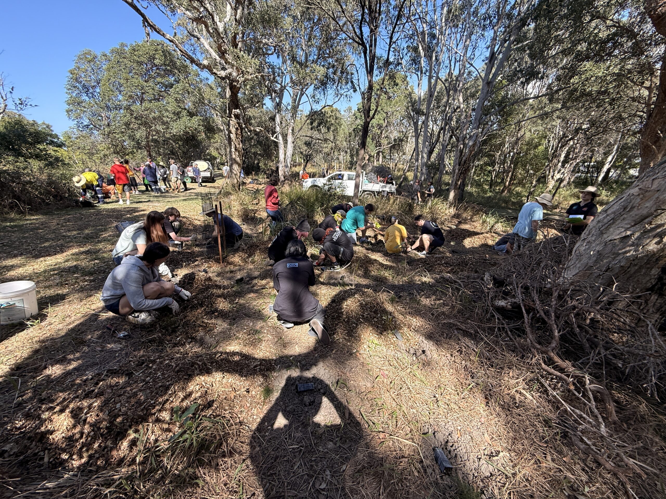 Growing a Greener Boambee: Year 9 Students Put Learning Into Action