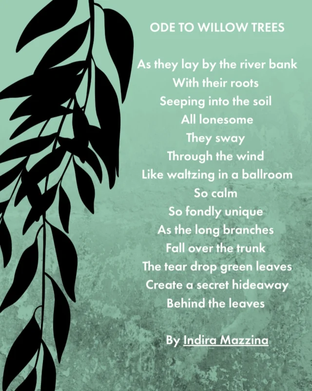 Year 9 English - written by Indira

#learnyourway #allegraschool #allegraschoolCH #informyourself #transformyourlife #educationwithadifference #wemakeadifference #coffscoast #education #school #wellbeing #youth #fun #deeplearning