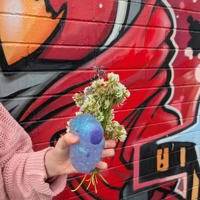 Wednesday's Wellbeing Walk took in flower collecting, sensory tools and local art!
I hope you appreciate this arty, anonymous student photo.
*
*
*
*
#learnyourway #allegraschool #allegraschoolCH #informyourself #transformyourlife #educationwithadifference #wemakeadifference #coffscoast #education #school #wellbeing #youth #fun #deeplearning